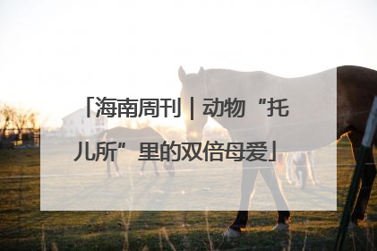 海南周刊｜动物“托儿所”里的双倍母爱