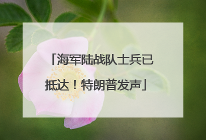 海军陆战队士兵已抵达！特朗普发声
