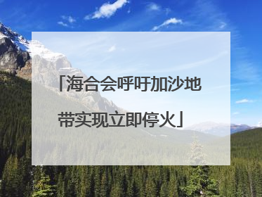 海合会呼吁加沙地带实现立即停火