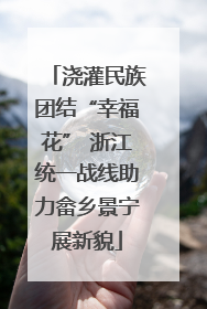 浇灌民族团结“幸福花” 浙江统一战线助力畲乡景宁展新貌