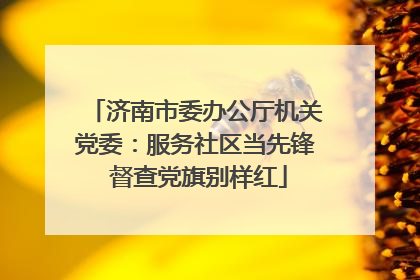 济南市委办公厅机关党委：服务社区当先锋 督查党旗别样红
