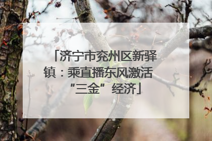 济宁市兖州区新驿镇：乘直播东风激活“三金”经济