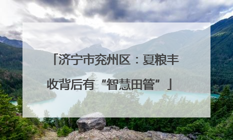 济宁市兖州区：夏粮丰收背后有“智慧田管”