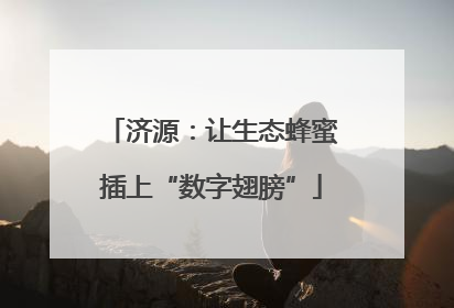 济源：让生态蜂蜜插上“数字翅膀”