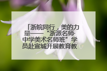 浙皖同行，美的力量——“浙派名师·中学美术名师班”学员赴宣城开展教育教学研讨活动