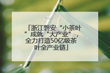 浙江磐安“小茶叶”成就“大产业”，全力打造50亿级茶叶全产业链