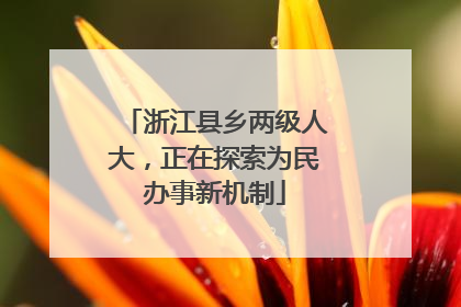 浙江县乡两级人大，正在探索为民办事新机制