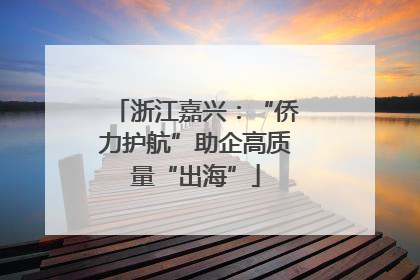 浙江嘉兴：“侨力护航”助企高质量“出海”