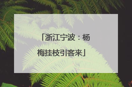 浙江宁波：杨梅挂枝引客来