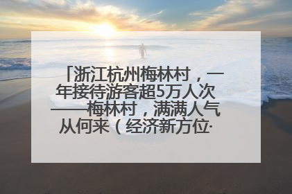 浙江杭州梅林村，一年接待游客超5万人次——梅林村，满满人气从何来（经济新方位·农村消费观察）