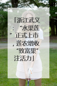 浙江武义：“水果莲”正式上市，莲农增收“致富果”注活力
