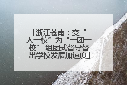 浙江苍南：变“一人一校”为“一团一校” 组团式督导督出学校发展加速度