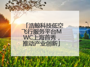 浩鲸科技低空飞行服务平台MWC上海首秀，推动产业创新