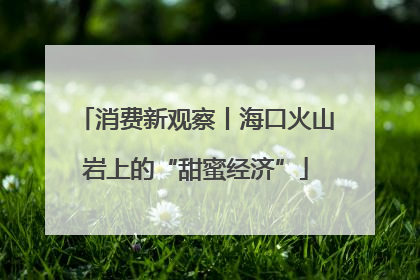 消费新观察丨海口火山岩上的“甜蜜经济”