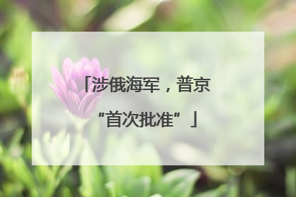 涉俄海军，普京“首次批准”