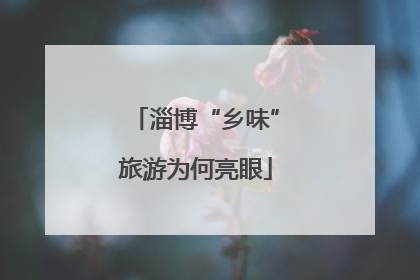 淄博“乡味”旅游为何亮眼