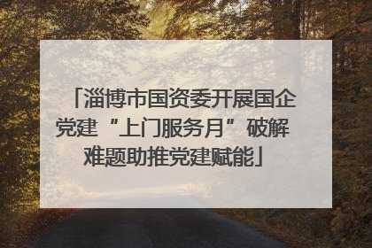 淄博市国资委开展国企党建“上门服务月”破解难题助推党建赋能