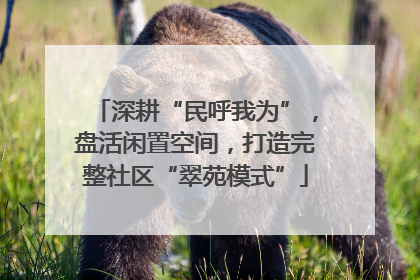 深耕“民呼我为”，盘活闲置空间，打造完整社区“翠苑模式”