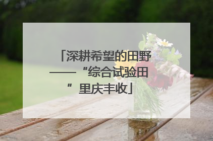 深耕希望的田野——“综合试验田”里庆丰收