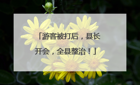 游客被打后，县长开会，全县整治！