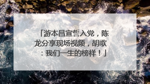 游本昌宣誓入党，陈龙分享现场视频，胡歌：我们一生的榜样！