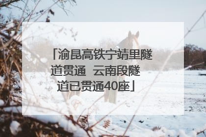 渝昆高铁宁靖里隧道贯通  云南段隧道已贯通40座