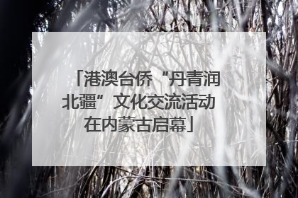 港澳台侨“丹青润北疆”文化交流活动在内蒙古启幕