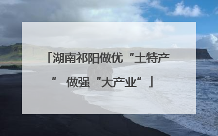 湖南祁阳做优“土特产” 做强“大产业”