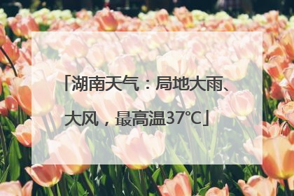 湖南天气：局地大雨、大风，最高温37℃