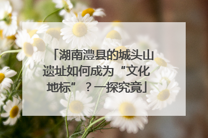 湖南澧县的城头山遗址如何成为“文化地标”？一探究竟