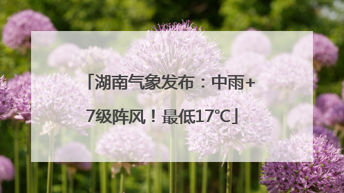 湖南气象发布：中雨+7级阵风！最低17℃