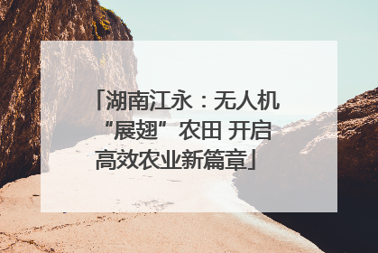 湖南江永：无人机“展翅”农田 开启高效农业新篇章