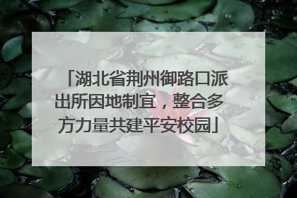 湖北省荆州御路口派出所因地制宜，整合多方力量共建平安校园