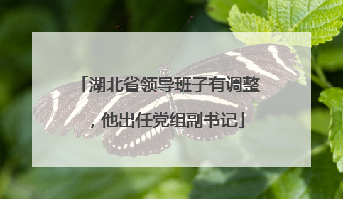 湖北省领导班子有调整，他出任党组副书记