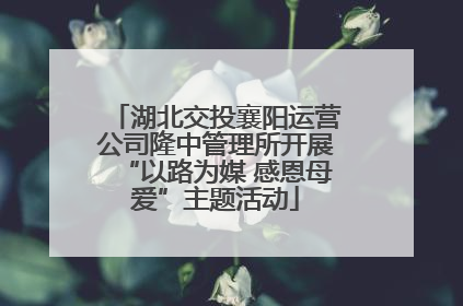湖北交投襄阳运营公司隆中管理所开展“以路为媒 感恩母爱”主题活动