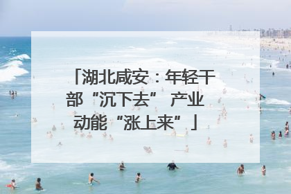 湖北咸安：年轻干部“沉下去” 产业动能“涨上来”