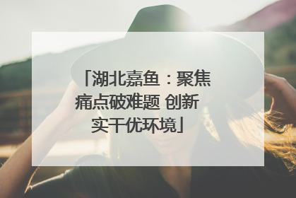 湖北嘉鱼：聚焦痛点破难题 创新实干优环境