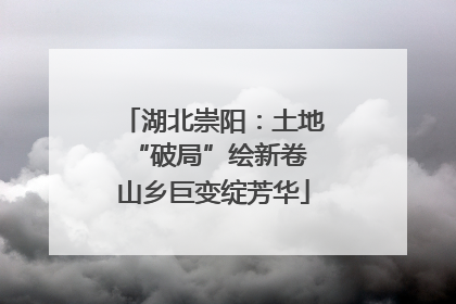 湖北崇阳：土地“破局”绘新卷 山乡巨变绽芳华