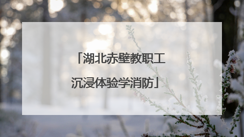 湖北赤壁教职工沉浸体验学消防