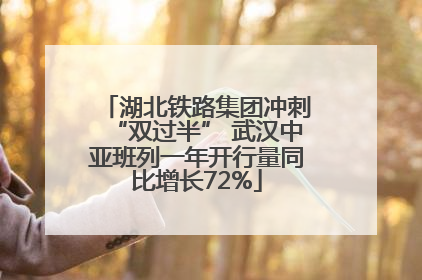 湖北铁路集团冲刺“双过半” 武汉中亚班列一年开行量同比增长72%