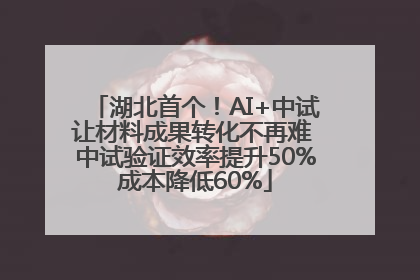 湖北首个！AI+中试让材料成果转化不再难 中试验证效率提升50%成本降低60%