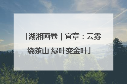 湖湘画卷｜宜章：云雾绕茶山 绿叶变金叶