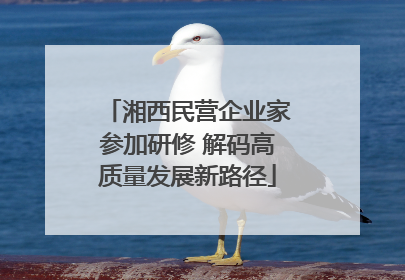 湘西民营企业家参加研修 解码高质量发展新路径