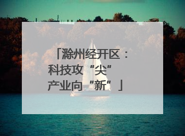 滁州经开区：科技攻“尖” 产业向“新”