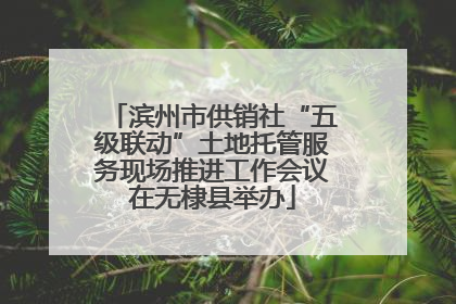 滨州市供销社“五级联动”土地托管服务现场推进工作会议在无棣县举办