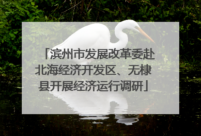 滨州市发展改革委赴北海经济开发区、无棣县开展经济运行调研