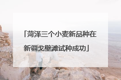菏泽三个小麦新品种在新疆戈壁滩试种成功