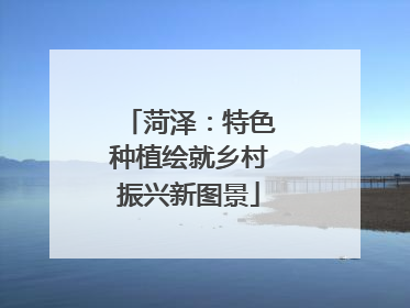 菏泽：特色种植绘就乡村振兴新图景