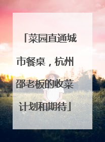 菜园直通城市餐桌，杭州邵老板的收菜计划和期待