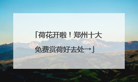 荷花开啦！郑州十大免费赏荷好去处→